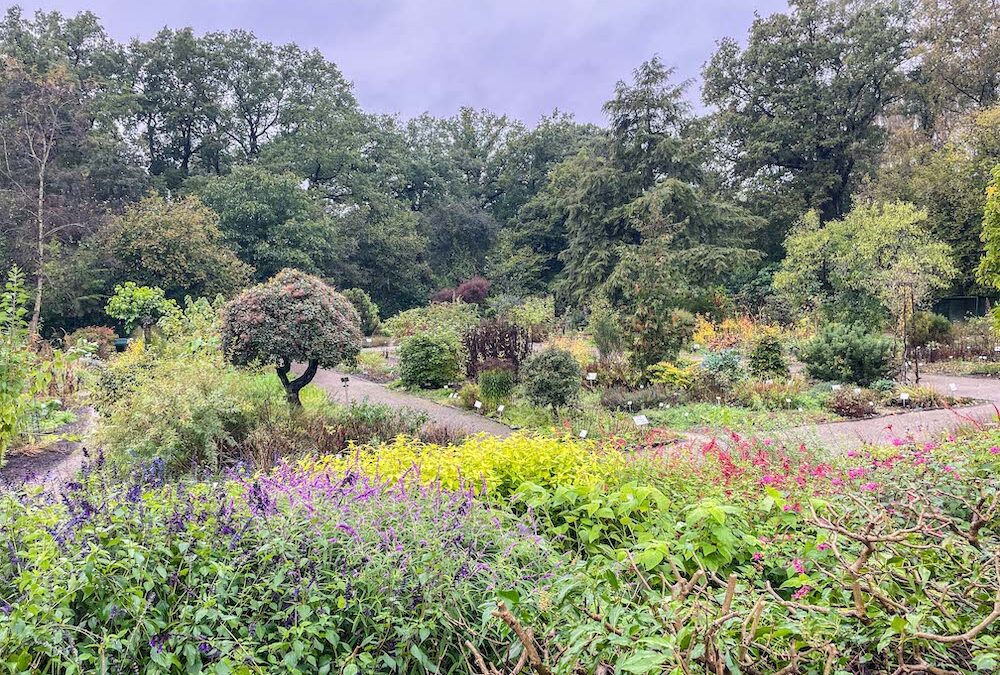 Rodondendronpark & Botanische tuinen