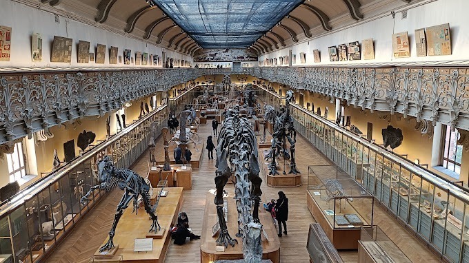 Galerie de Paléontologie et d’anatomie Comparée