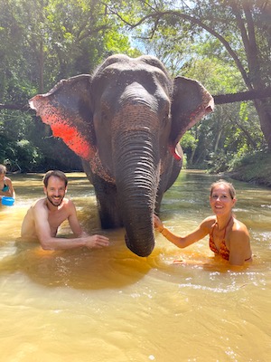 Olifanten excursie Chiang Mai