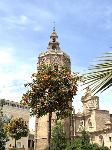 Kathedraal Valencia