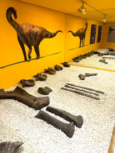 Natuurhistorisch museum Valencia