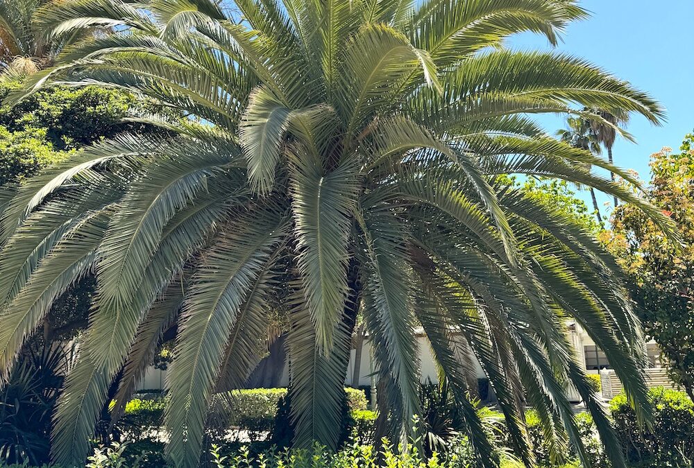 Jardines del Turia