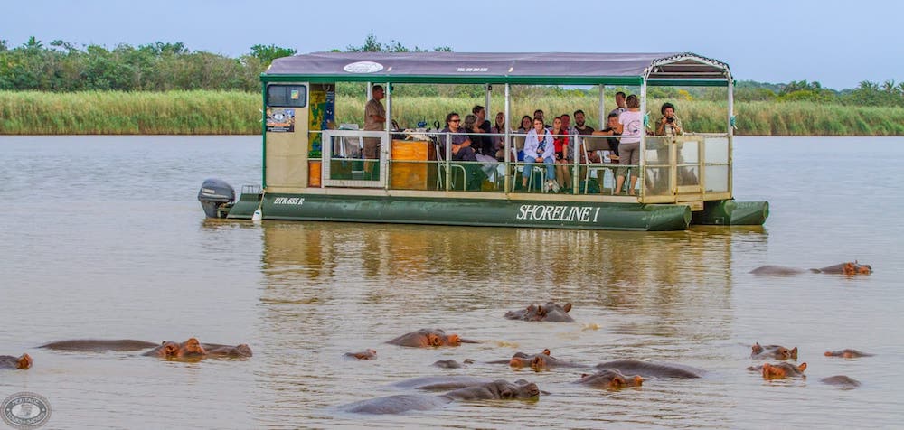 Nijlpaarden en krokodillen cruise
