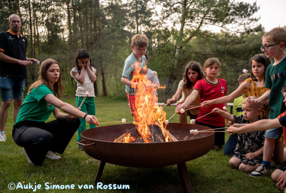 Kindvriendelijke campings België