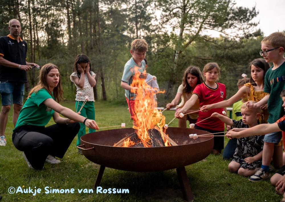 Kindvriendelijke campings België
