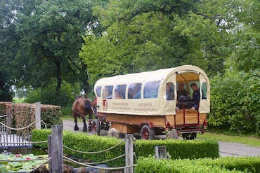 Camping Goolderheide