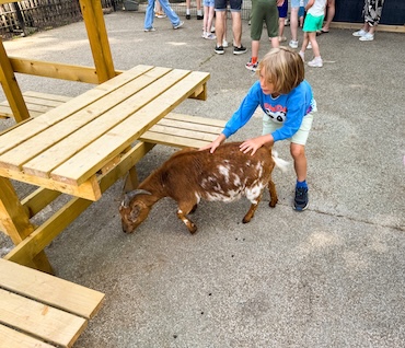 Dierenbos met kinderen