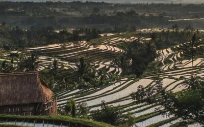 Lombok with kids – our tropical dream trip 🌴