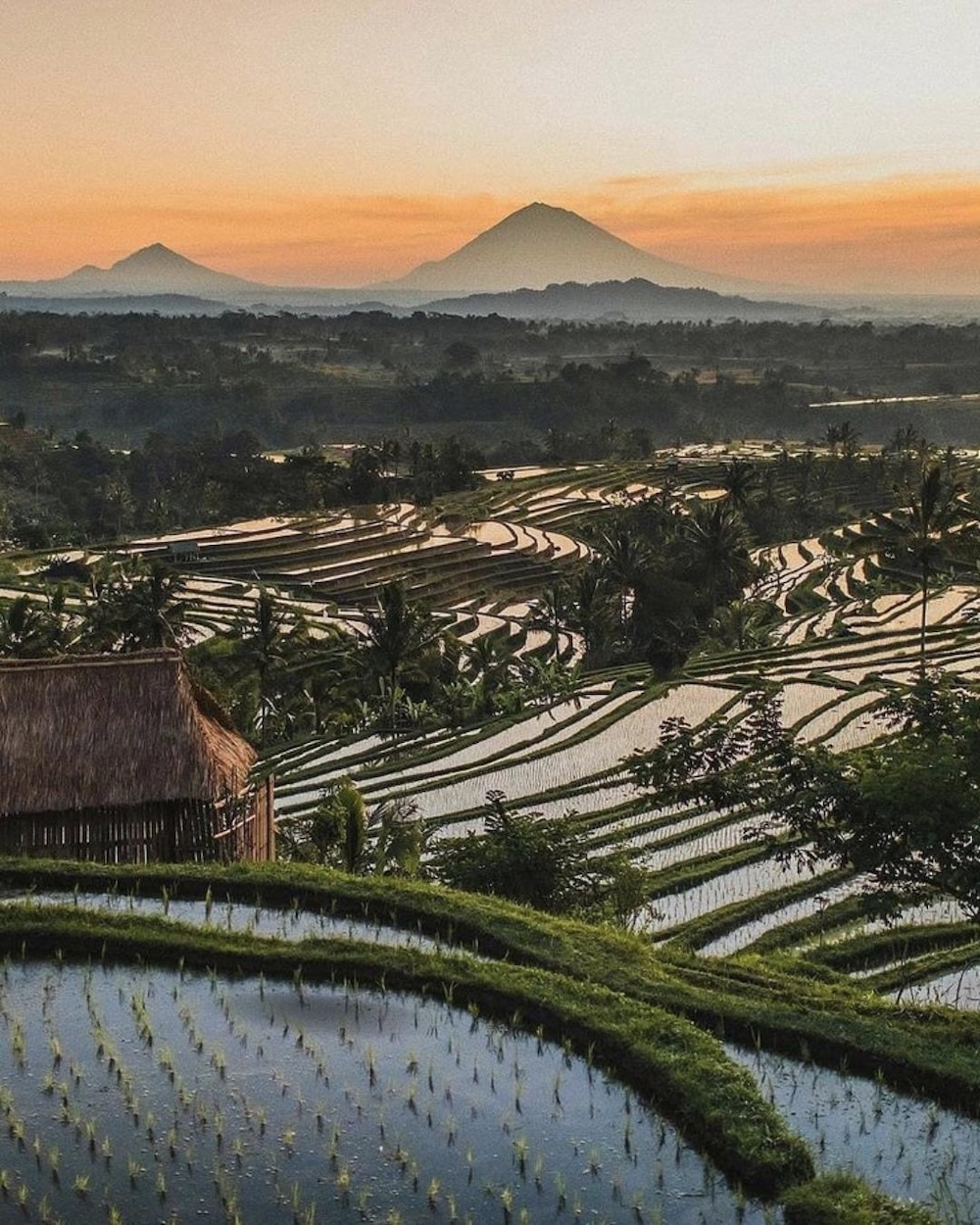Lombok met kinderen