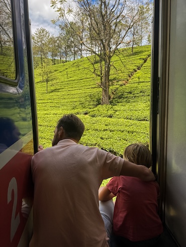 Train Ella to Nuwara Eliya Sri Lanka