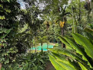 Adidas's Manor Kandy Sri Lanka