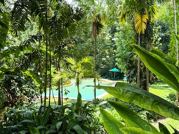 Adidas's Manor Kandy Sri Lanka