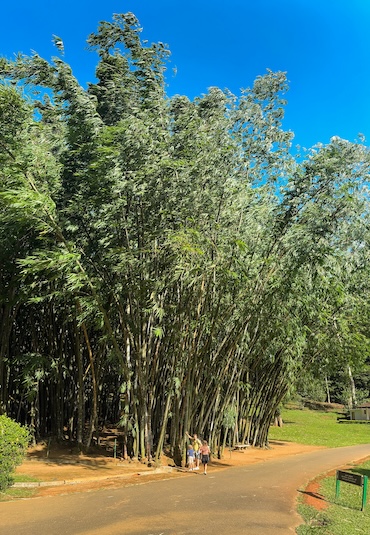 Botanical Gardens Sri Lanka