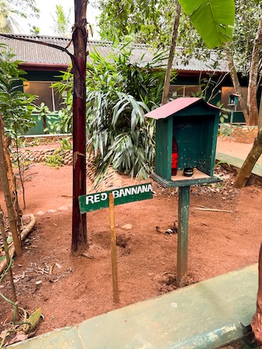 Spice Garden Sri Lanka