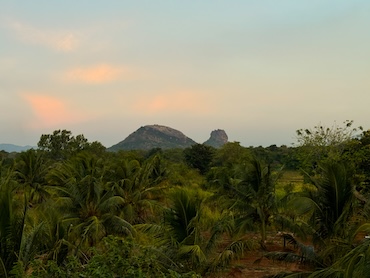 Tree Trails Sigiriya Sri Lanka