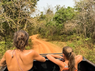 Minneriya National Park Sri Lanka
