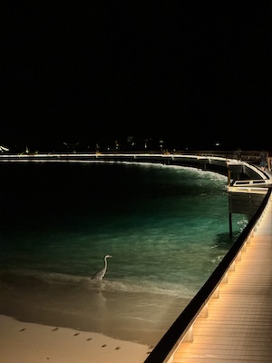 Hard Rock Hotel Maldives