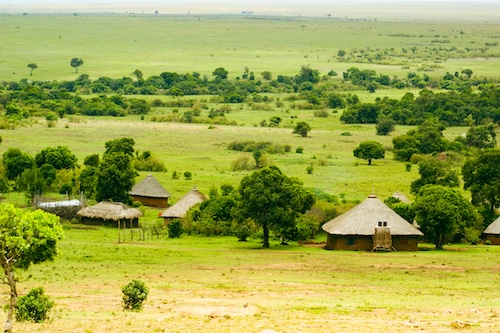Traditionele hutten in het groene landschap van Tanzania – rustiek dorp tussen de savanne, prachtig begin van een gezinsreis door Tanzania.