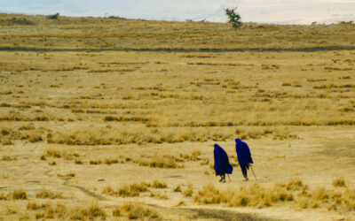Tanzania & Zanzibar with kids