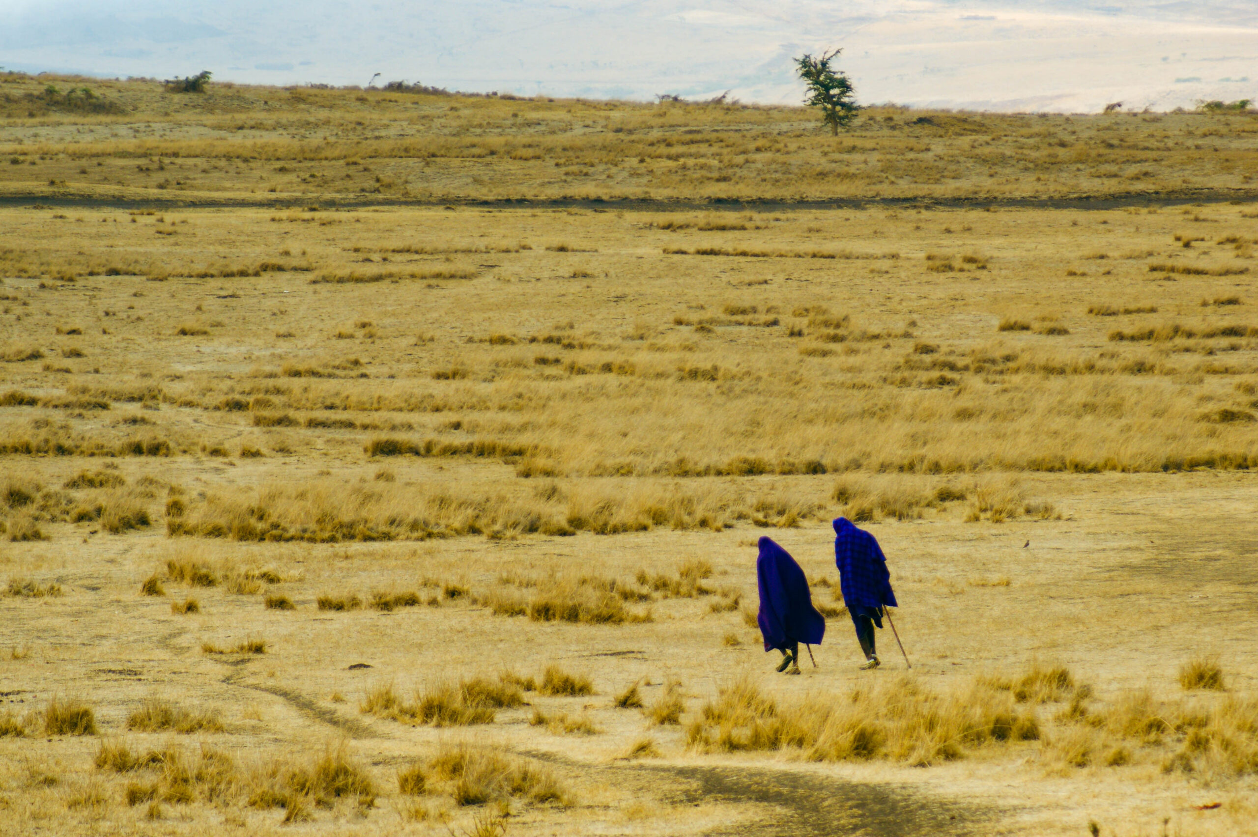 Twee Maasai mannen lopen over de uitgestrekte savanne in Tanzania – symbool van het Afrikaanse landschap en de cultuur, vastgelegd tijdens een gezinsreis.