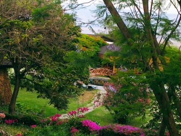 Tropische tuin vol bloemen bij een lodge in de Ngorongoro Krater, Tanzania – kleurrijke accommodatie met uitzicht over de vallei.