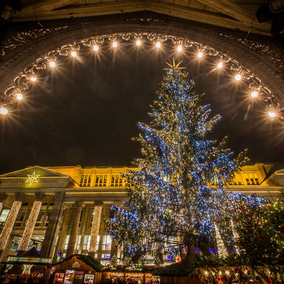 Experience the festive spirit of Stuttgarter Weihnachtsmarkt with the beautifully illuminated Christmas tree at Schlossplatz. This dazzling night scene highlights sparkling lights, grand architecture, and joyful holiday celebrations at one of Germany’s top Christmas markets.